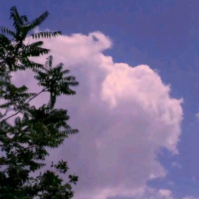 韩媒怒批崔康熙为傲慢付出代价 球迷：像遛狗一样被耍